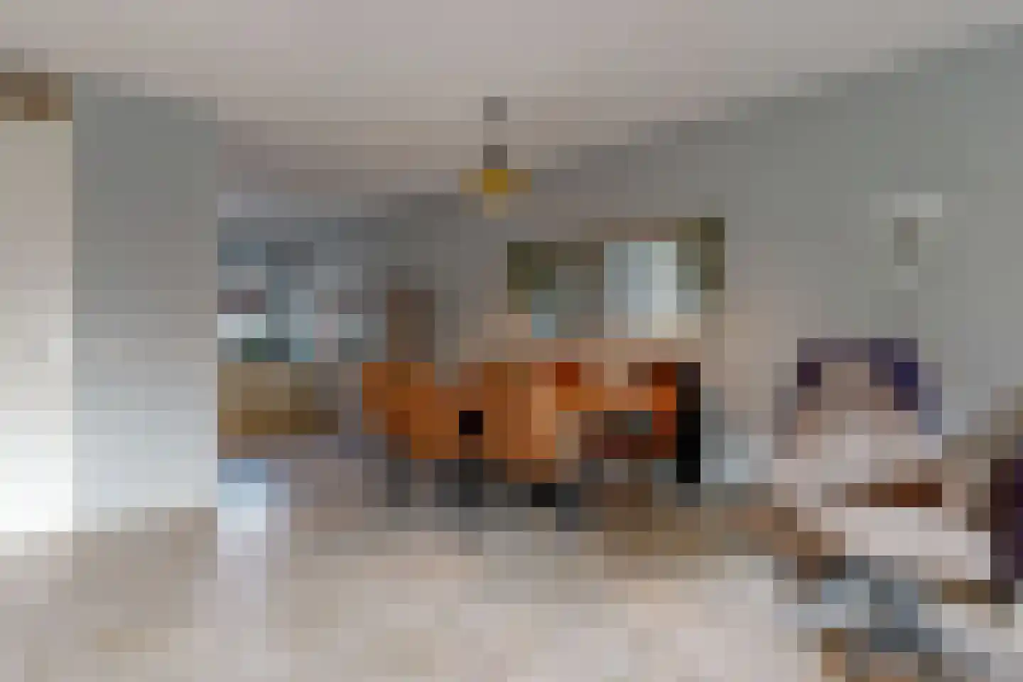 Tijloosstraat 36 Sassenheim thumbnail 8