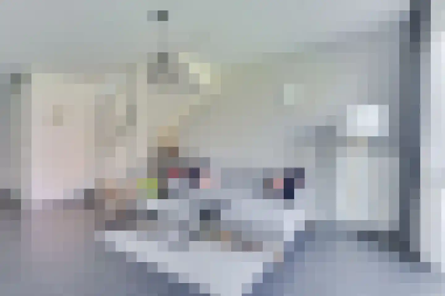 Tijm 1 C Heerhugowaard thumbnail 10