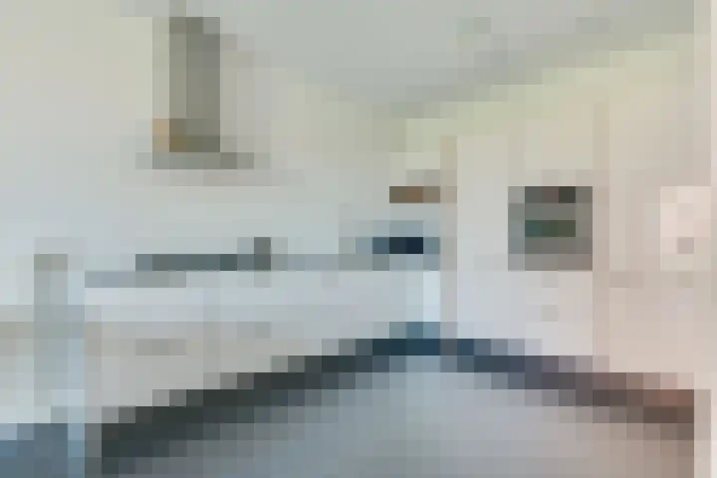Tijm 1 C Heerhugowaard thumbnail 12