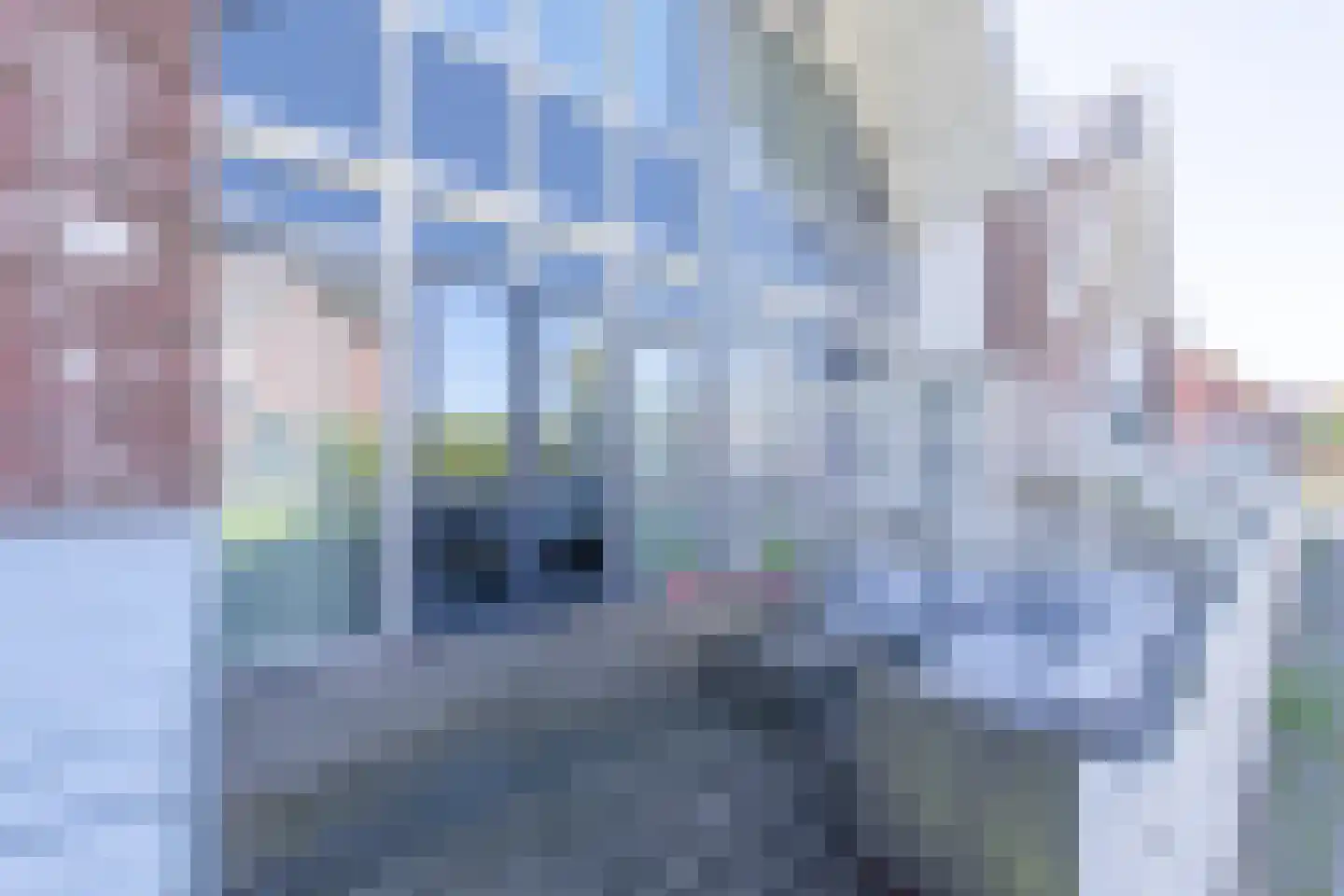 Tijm 1 C Heerhugowaard thumbnail 6