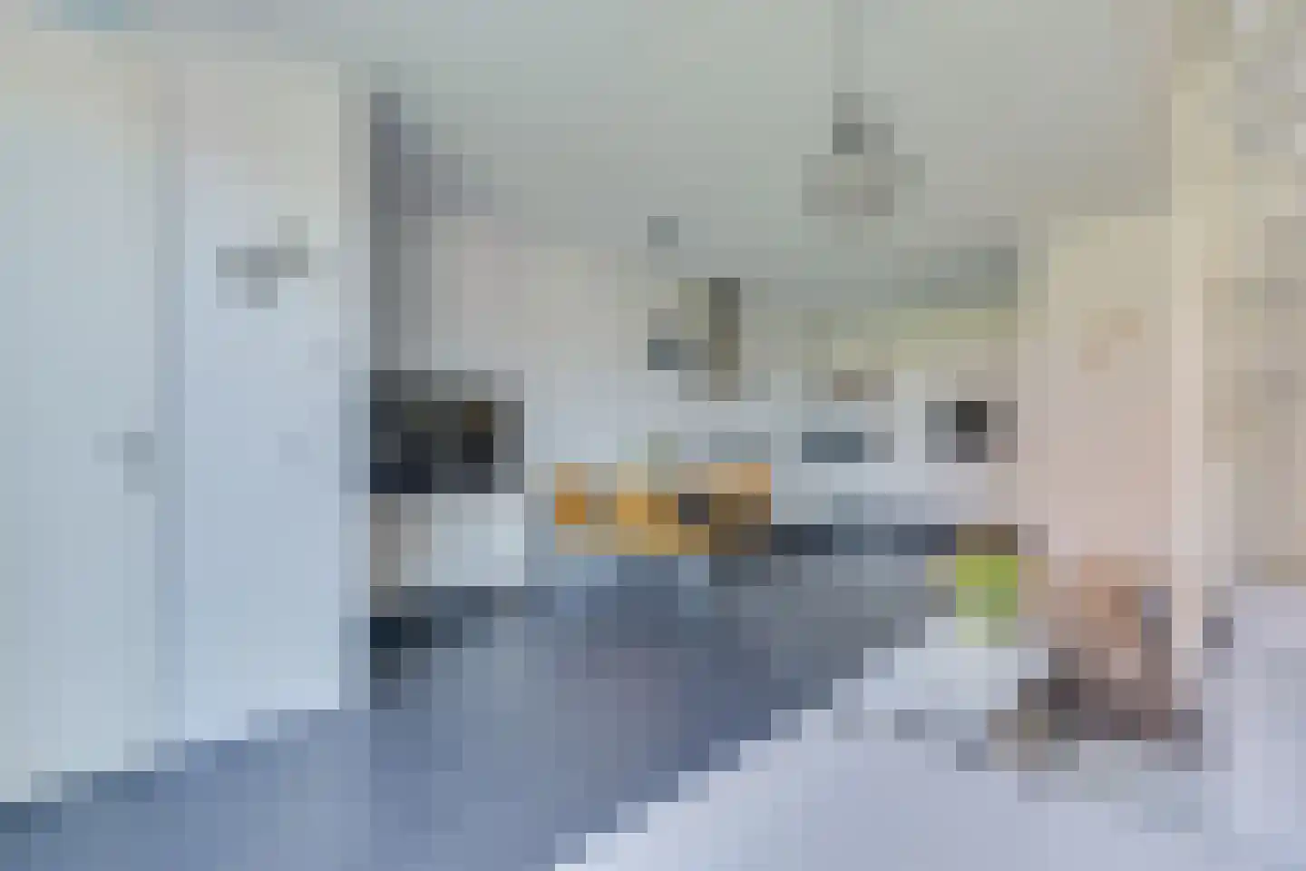 Tijm 1 C Heerhugowaard thumbnail 9