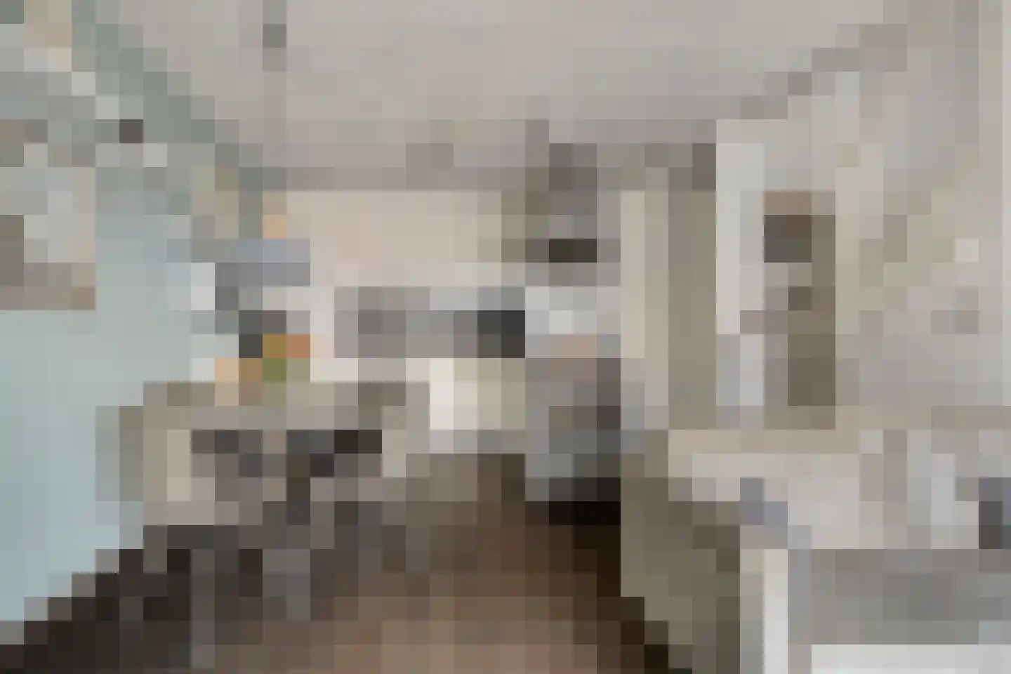 Tijm 1 L Heerhugowaard thumbnail 10