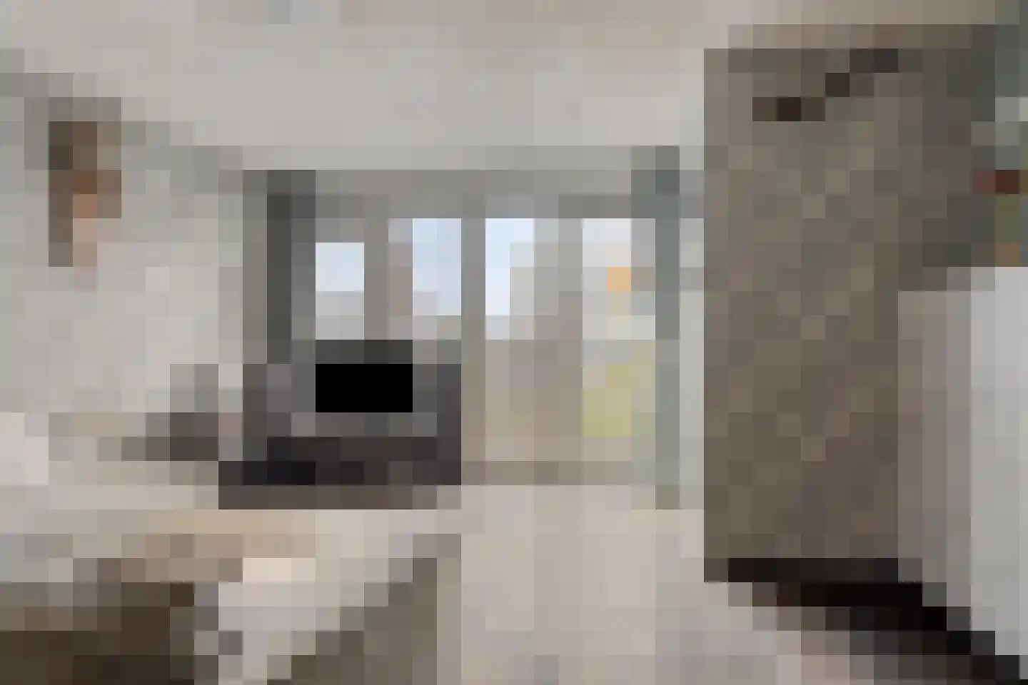 Tijm 1 L Heerhugowaard thumbnail 11