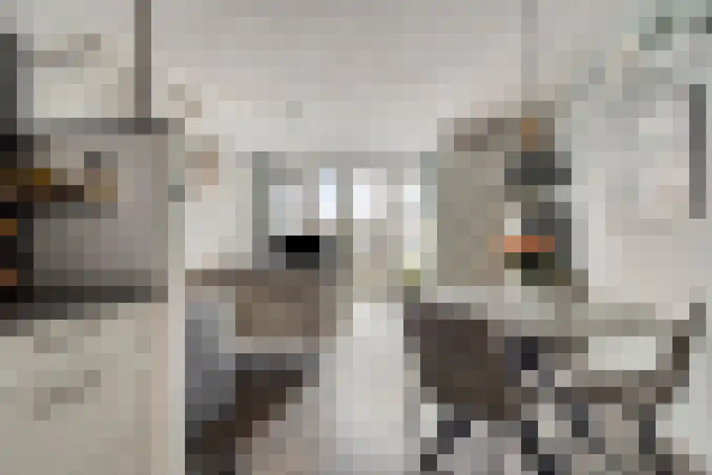 Tijm 1 L Heerhugowaard thumbnail 14