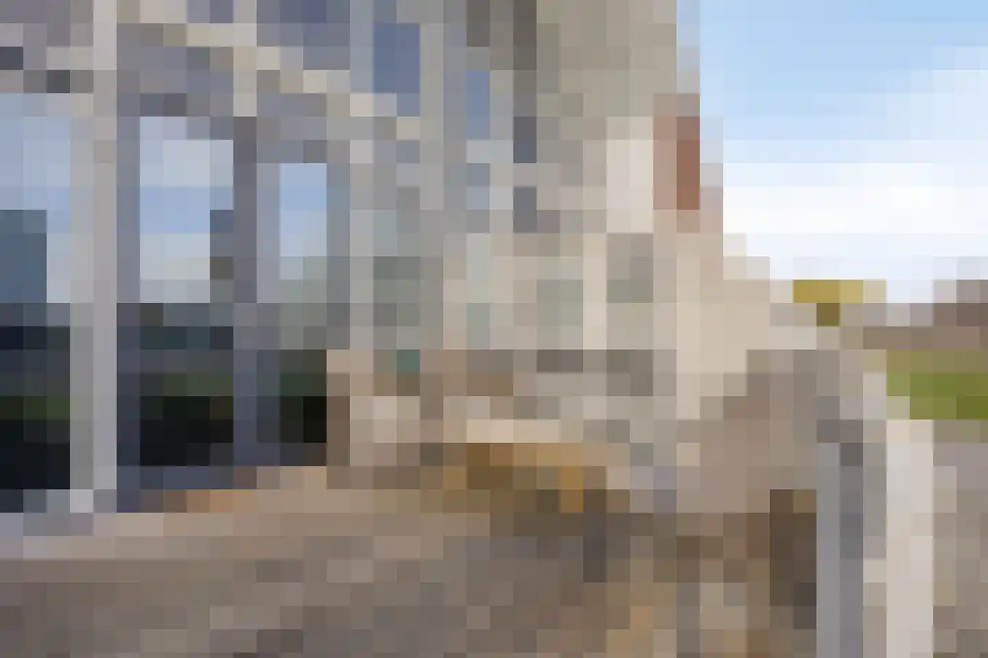 Tijm 1 L Heerhugowaard thumbnail 4