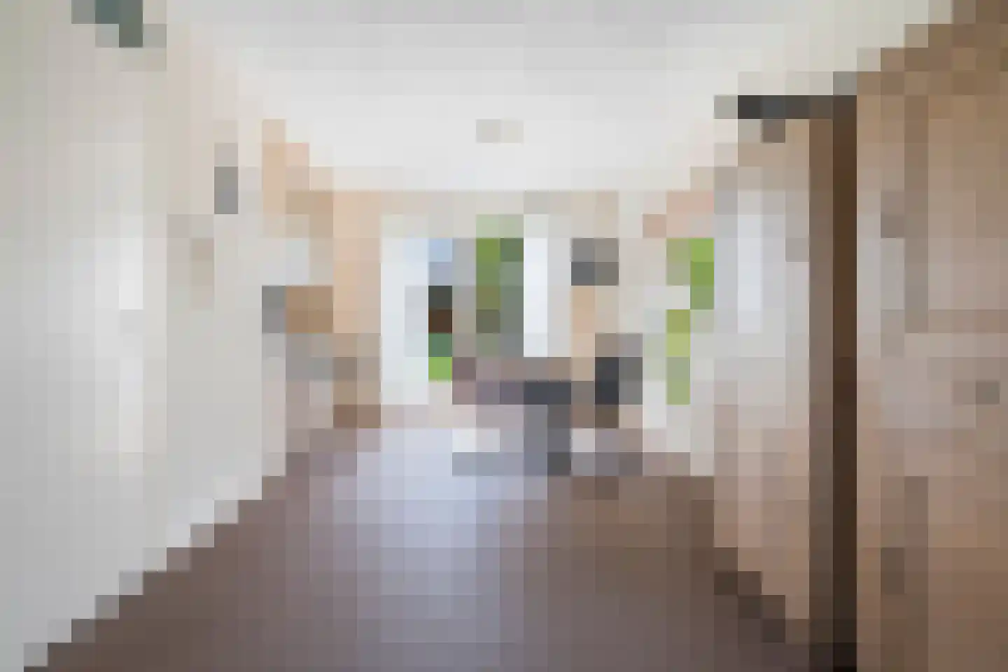 Tijm 11 Oud Gastel thumbnail 11