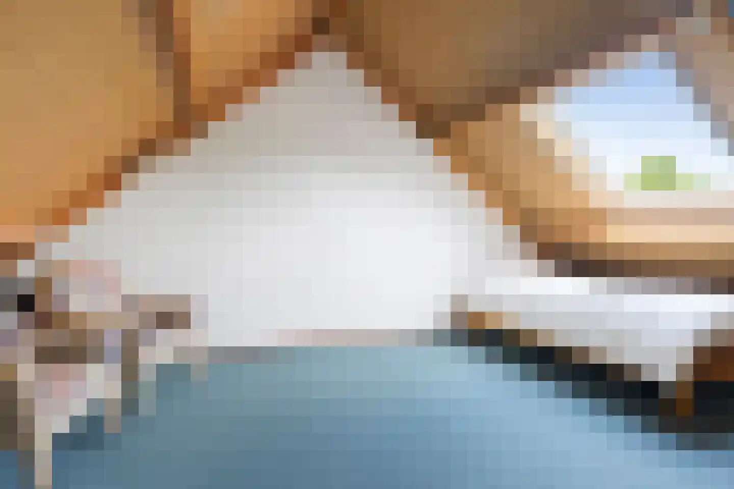 Tijm 11 Oud Gastel thumbnail 20