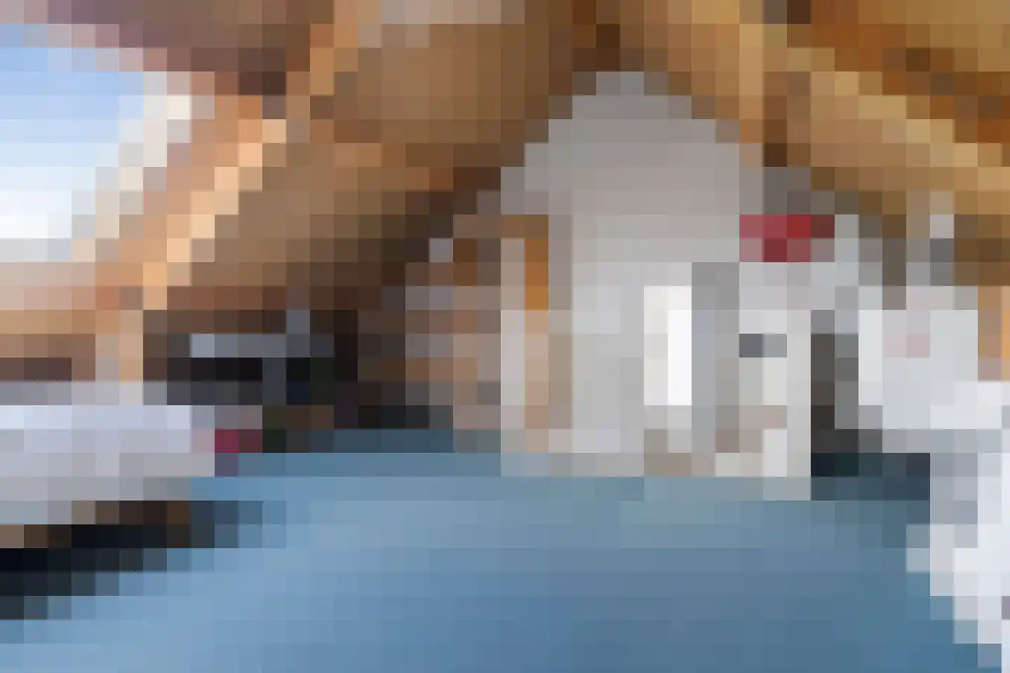 Tijm 11 Oud Gastel thumbnail 21