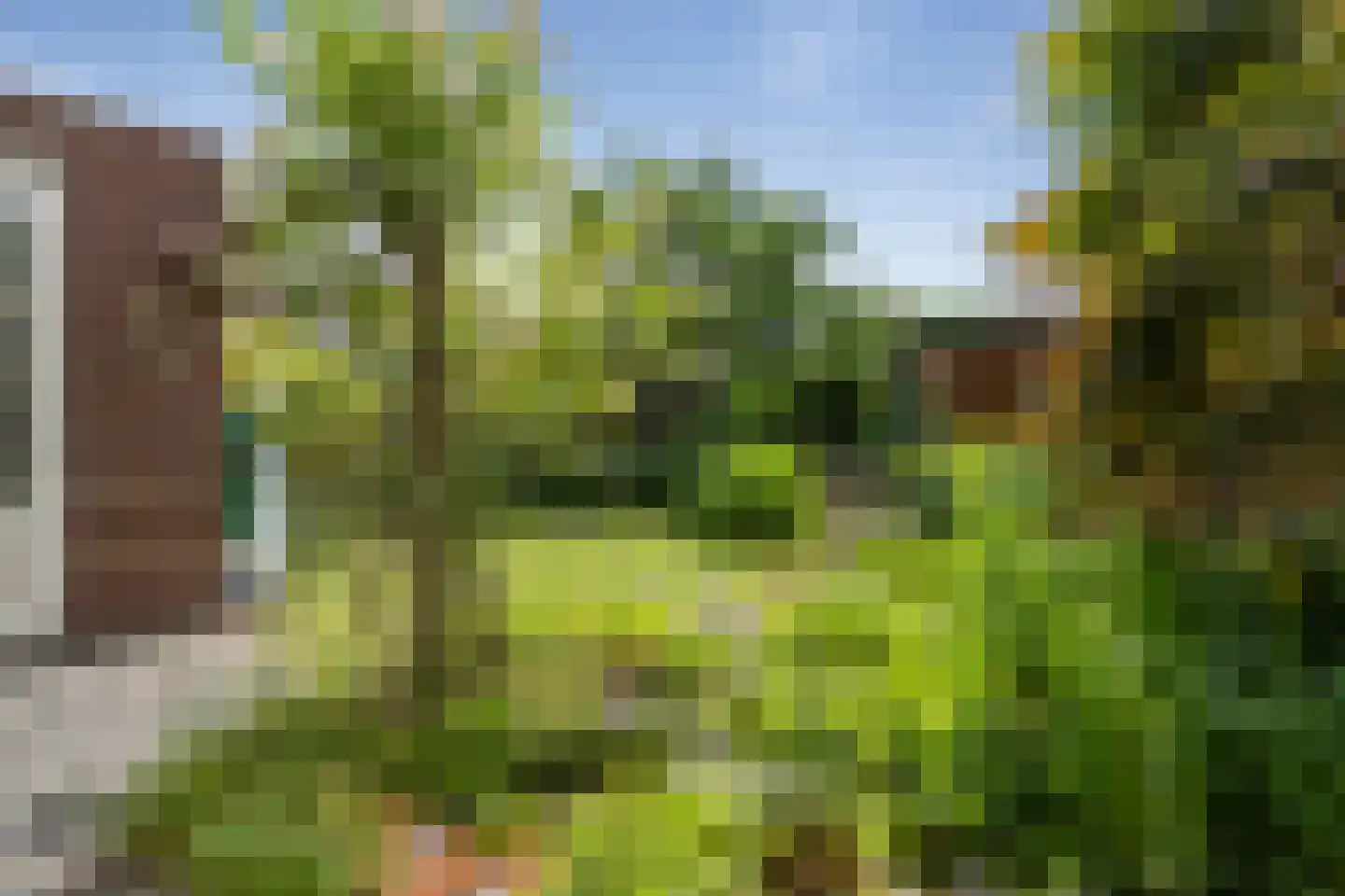 Tijm 11 Oud Gastel thumbnail 22