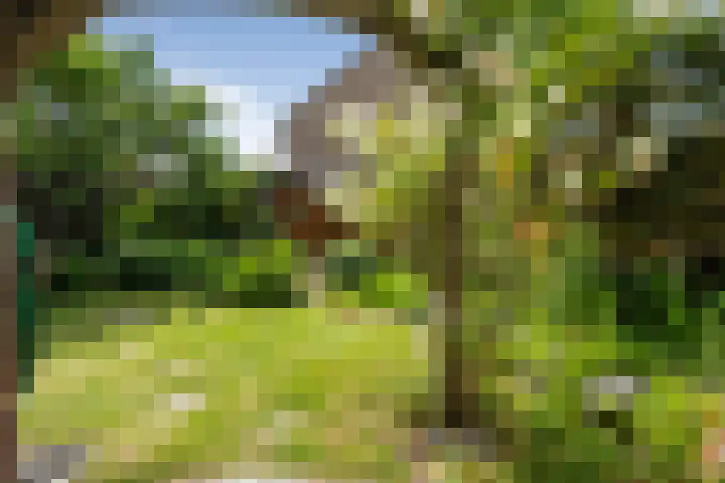 Tijm 11 Oud Gastel thumbnail 23
