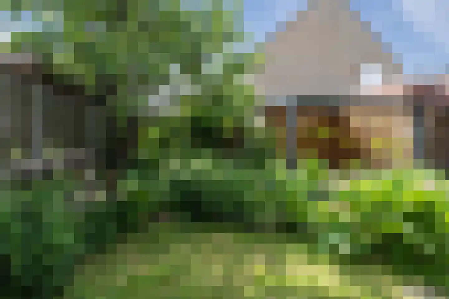 Tijm 11 Oud Gastel thumbnail 24