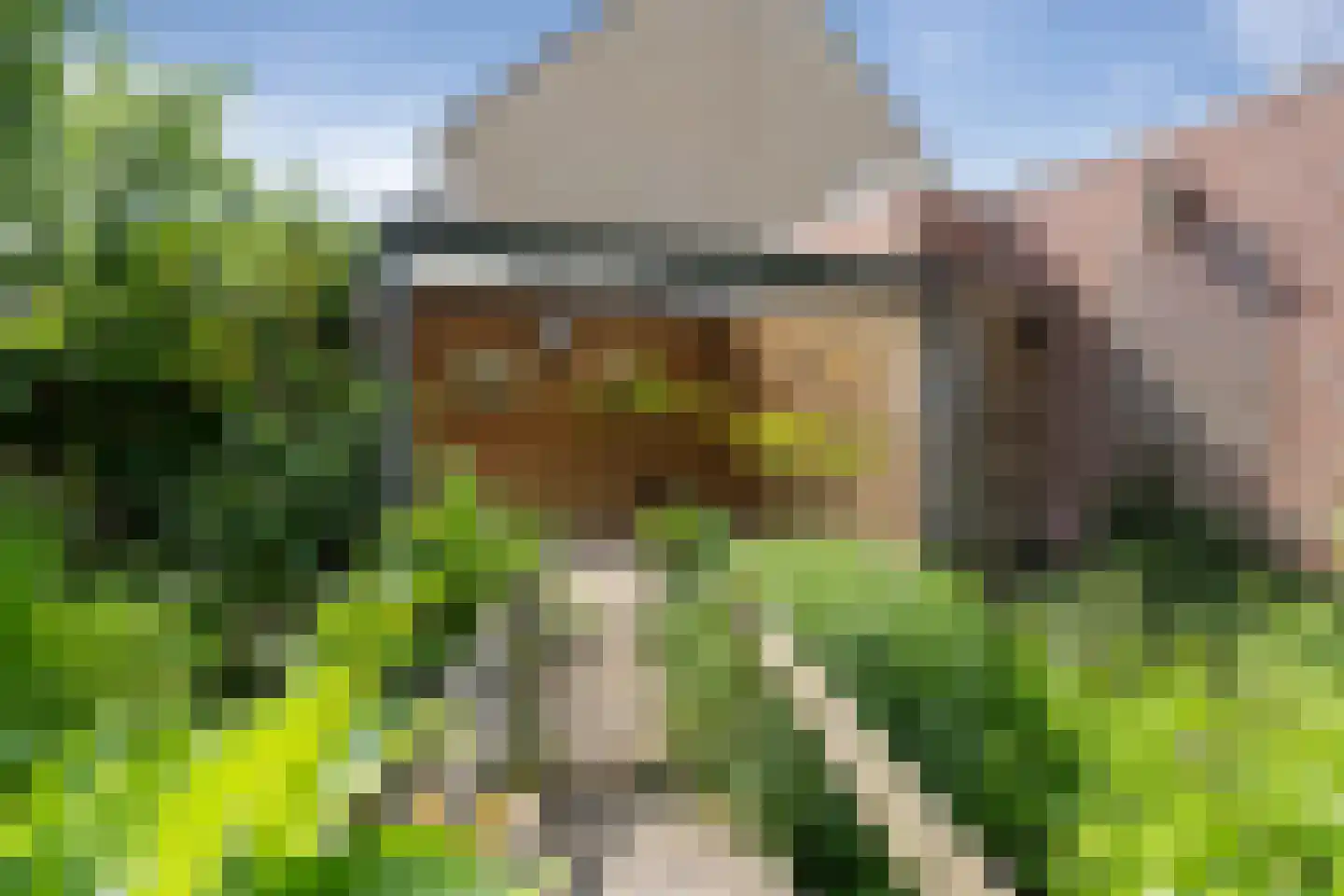 Tijm 11 Oud Gastel thumbnail 25