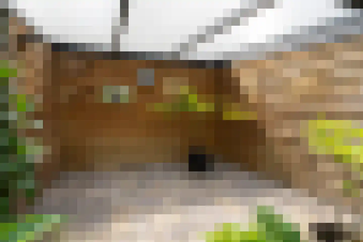 Tijm 11 Oud Gastel thumbnail 26