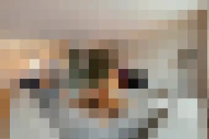 Tijm 11 Raalte thumbnail 9
