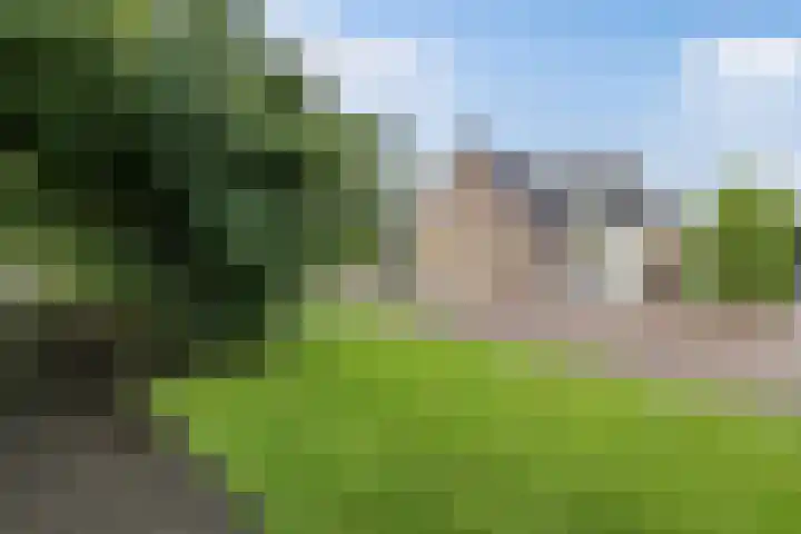 Tijm 11 Rutten thumbnail 10