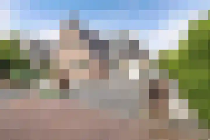 Tijm 11 Rutten thumbnail 11