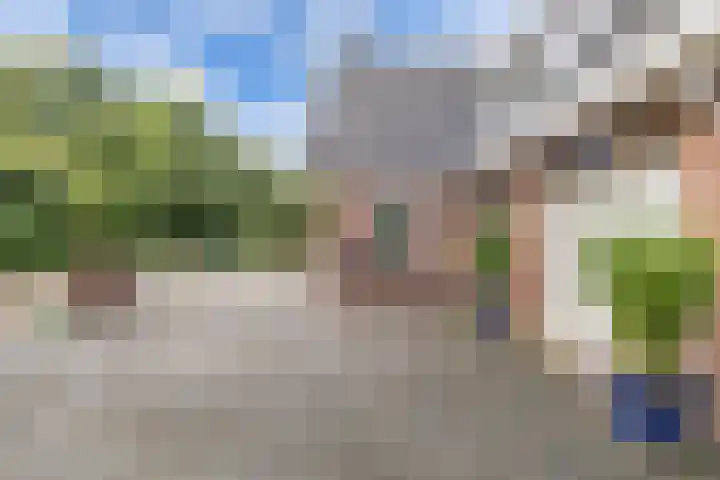 Tijm 11 Rutten thumbnail 12