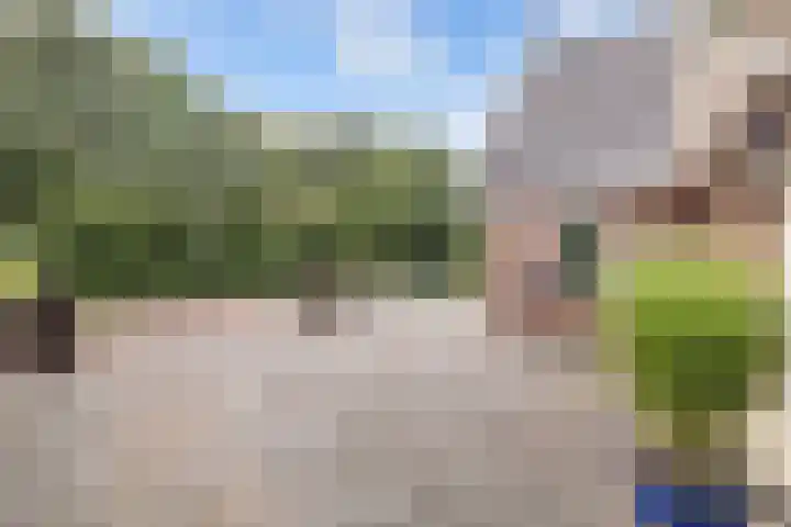 Tijm 11 Rutten thumbnail 13