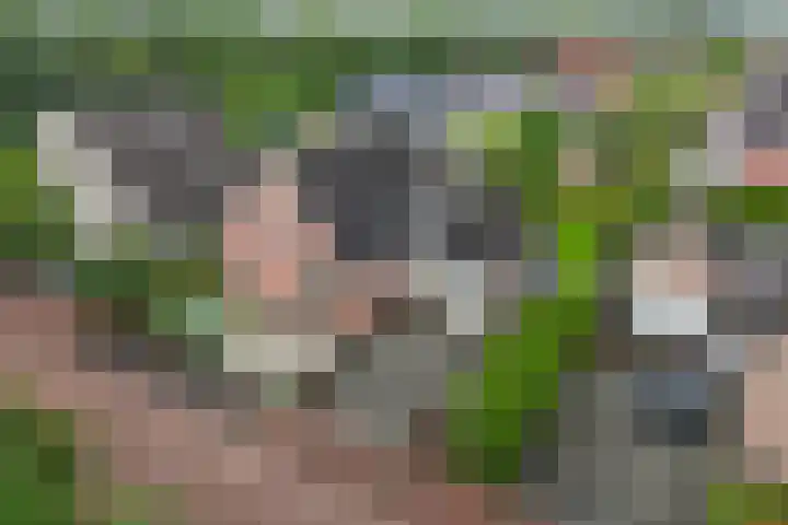 Tijm 11 Rutten thumbnail 14