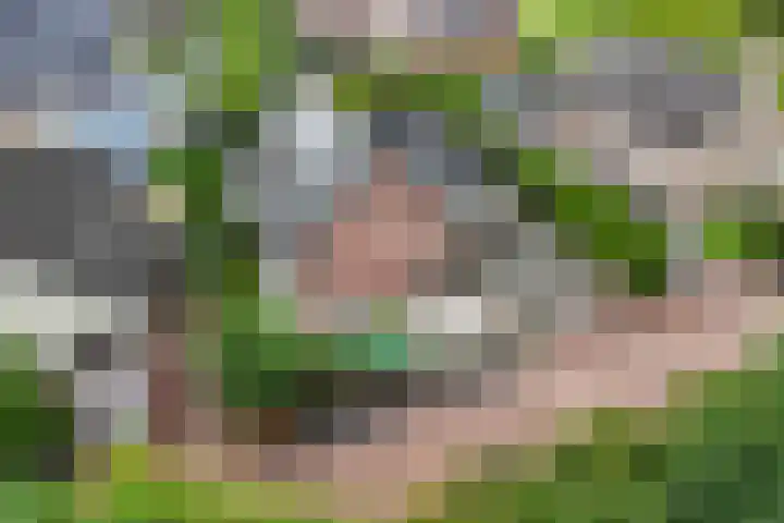 Tijm 11 Rutten thumbnail 15