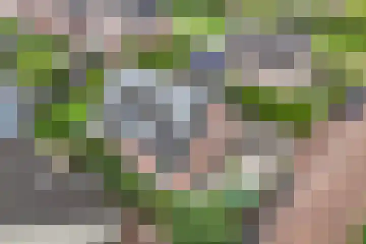 Tijm 11 Rutten thumbnail 16