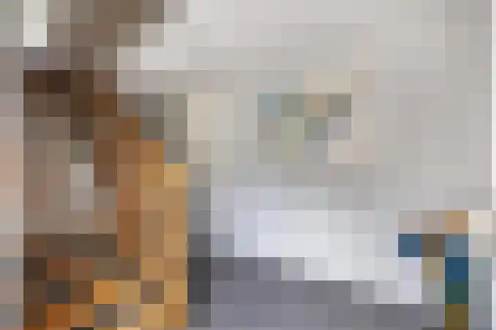 Tijm 11 Rutten thumbnail 17