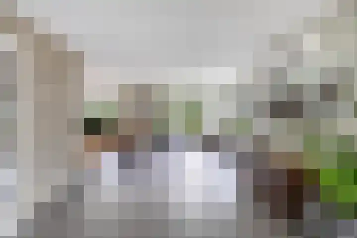 Tijm 11 Rutten thumbnail 20