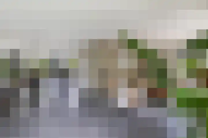 Tijm 11 Rutten thumbnail 22