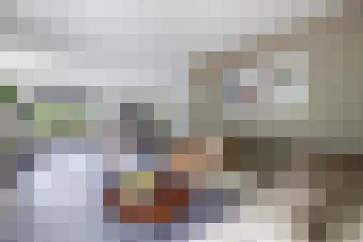 Tijm 11 Rutten thumbnail 24