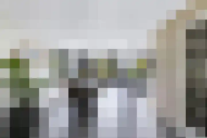 Tijm 11 Rutten thumbnail 25