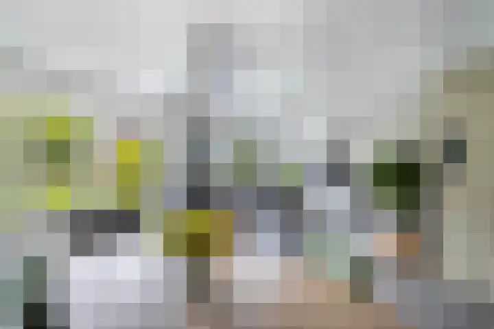 Tijm 11 Rutten thumbnail 26