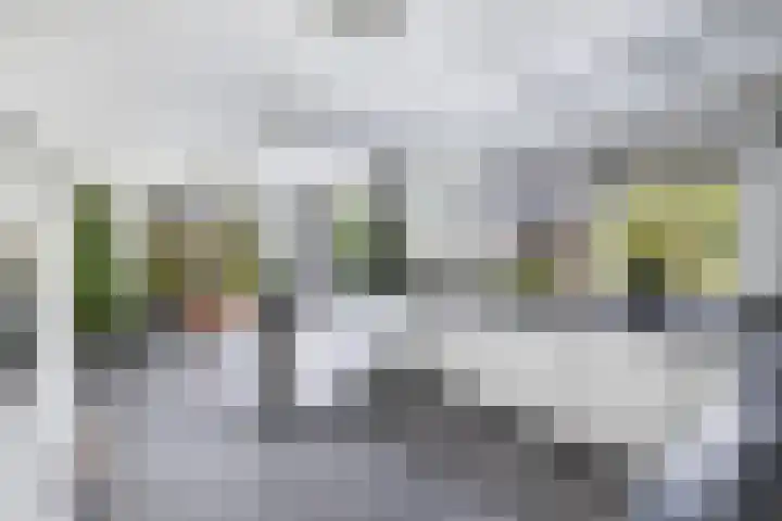 Tijm 11 Rutten thumbnail 29