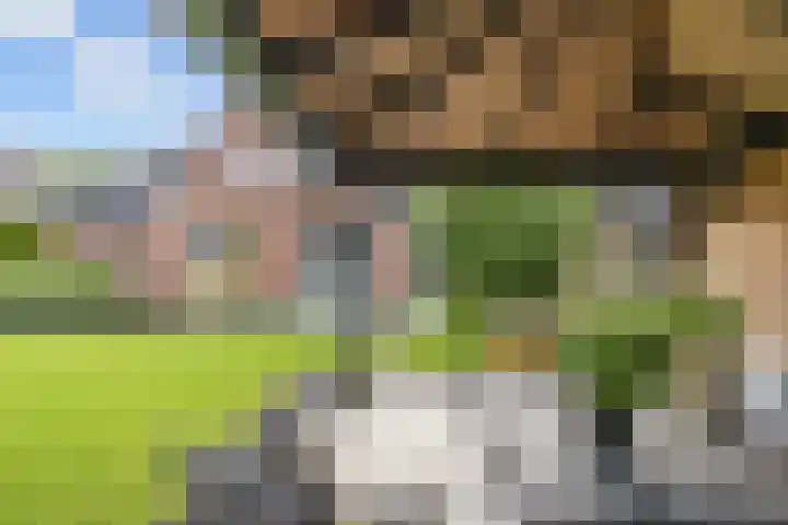 Tijm 11 Rutten foto 3
