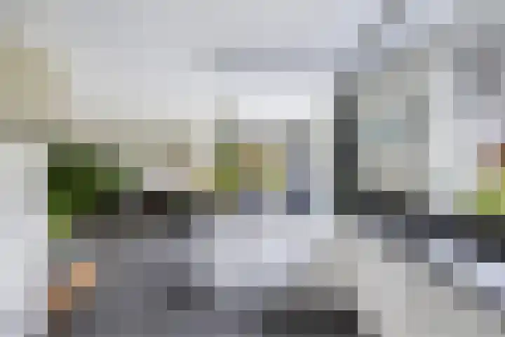 Tijm 11 Rutten thumbnail 30