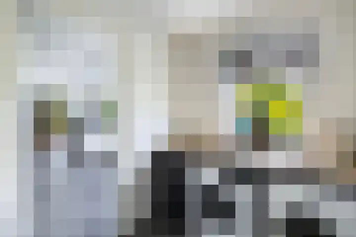 Tijm 11 Rutten thumbnail 31
