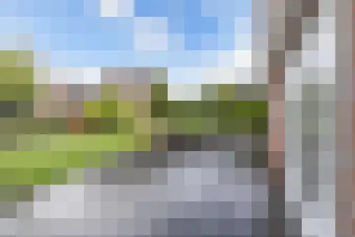 Tijm 11 Rutten thumbnail 32