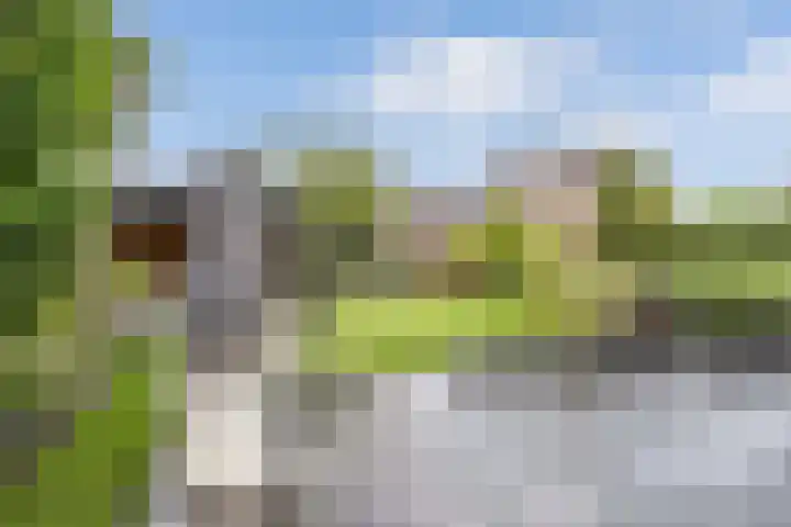 Tijm 11 Rutten thumbnail 34