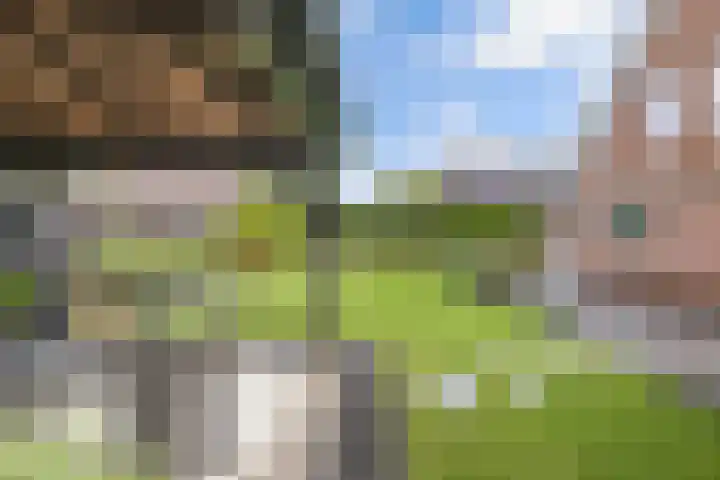 Tijm 11 Rutten thumbnail 37