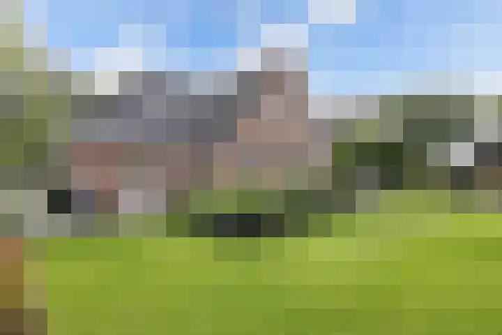 Tijm 11 Rutten thumbnail 38