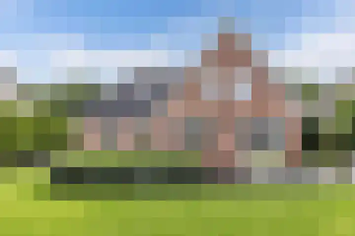 Tijm 11 Rutten thumbnail 39