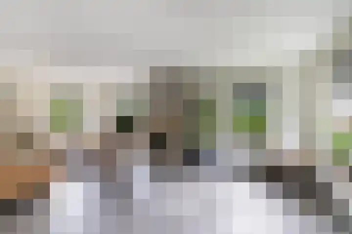 Tijm 11 Rutten thumbnail 4