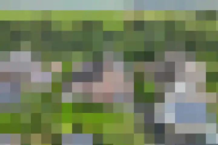 Tijm 11 Rutten thumbnail 40