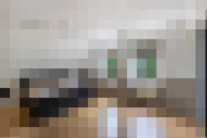 Tijm 11 Rutten thumbnail 43