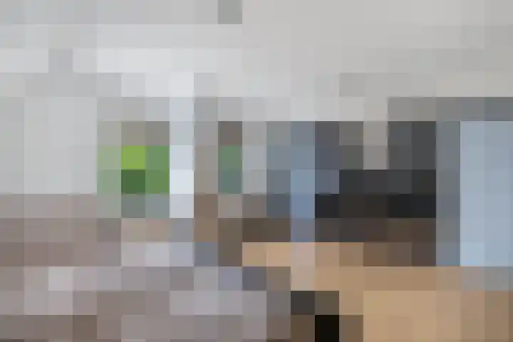 Tijm 11 Rutten thumbnail 44