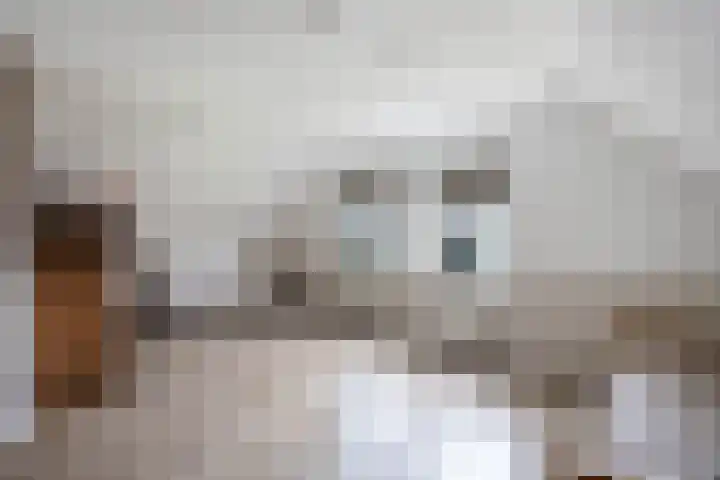 Tijm 11 Rutten thumbnail 47