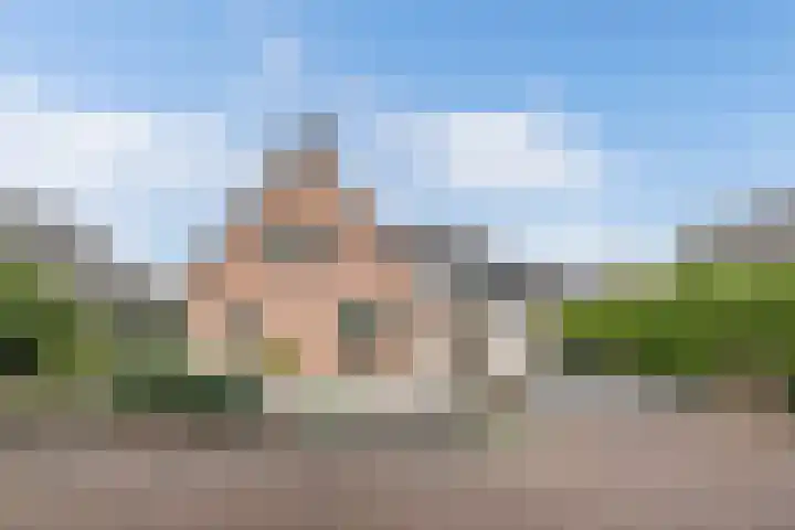 Tijm 11 Rutten thumbnail 9
