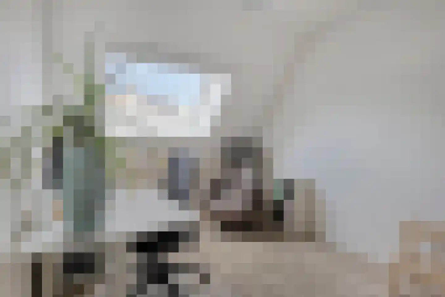 Tijm 14 Oisterwijk thumbnail 24