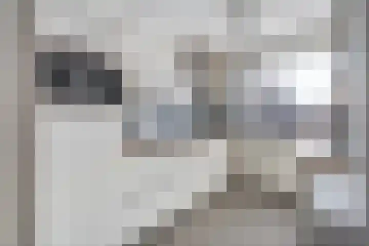 Tijm 19 Hardenberg thumbnail 17