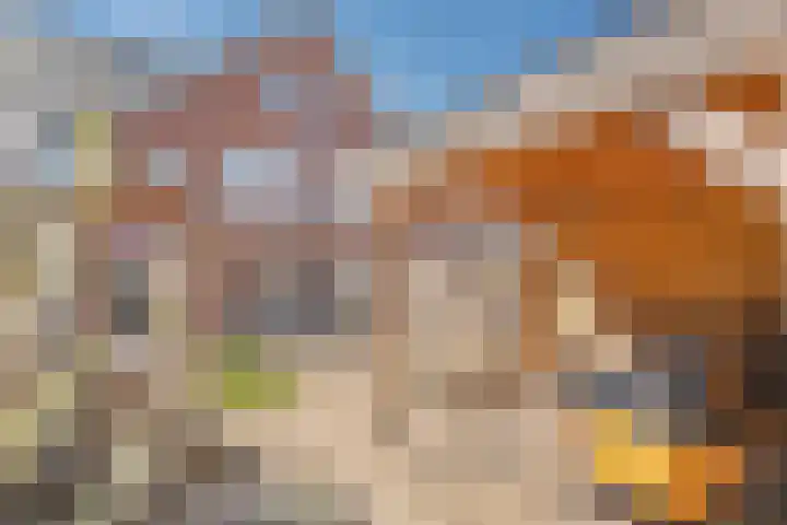 Tijm 19 Hardenberg thumbnail 38