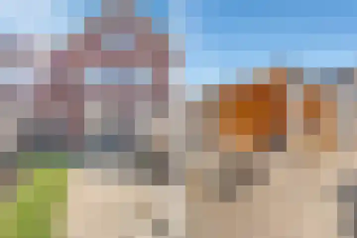 Tijm 19 Hardenberg thumbnail 39